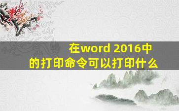 在word 2016中的打印命令可以打印什么